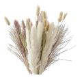 40pieces 45cm Natural Dried White Bunny Dust Pampas Grass Plant Decor
