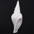 White Ceramic Sea Shell Conch Flower Vase Wall Hanging Style 3
