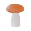 1pcs Mushroom Decor Natural Selenite Quartz Crystal Polished Stones