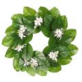 Artificial Magnolia Leaf Cherry Blossoms Wreath for Wall Decoration