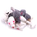 Real Rabbit Fur Mice Cat Toys Pet Toy Children's Toys 12-pack