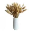 60pcs Bunny Tails Grass Natural Dried Pampas Grass Decor Flower B