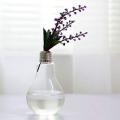 2x Transparent Glass Bulb Shape Table Vase for Plants Home Decoration