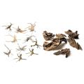 Mini Driftwood for Aquarium Natural Wood Branches (10 Pack)