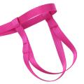 Pet Bird Harness and Leash, Adjustable Parrot Bird Harness Leash(l)