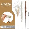 Natural Dried Pampas Grass, 60 Pcs Pampas Grass for Flower Home Decor