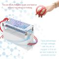 10000mg / H Ozone Generator, Dual Integrated Plate Ozone Air Purifier