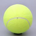 Pet Bite Toy 24cm Giant Tennis Ball for Dogs Chew Toy Inflatable Ball