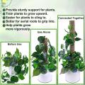 4 Pack Moss Poles for Indoor Plant Support,potted Plants Grow Upwards