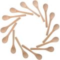 30 Pieces Mini Wooden Condiments Spoons Honey Teaspoon Wood Color