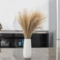 Dried Pampas Grass,for Flower Arrangements,wedding, Office,home Decor