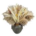 135pcs 17 Inch Pompous Grass Fluffy Stem Bouquet