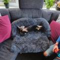 Dog Bed Sofa Large Fluffy Dogs Pet House Sofa Mat-l