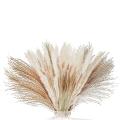 Natural Dried Pampas Grass Decor: 70 Pcs Fluffy White Pampas Stems