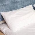 20 Pcs Disposable Hotel Travel Breathable Single Pillow Case