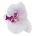 20x 9cm Orchidee Papillon Artificielle Tete De Fleur Decor