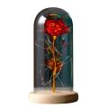 Eternal Rose Under Bell Beast Rose with Fairy String Lights Gift B