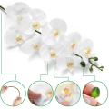 6 Pcs 38inch Artificial Real Contact Orchids Flowers for Diy Wedding