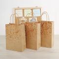 25pcs Paper Bags Kraft Gift Bags for Christmas Birthday Packaging, D