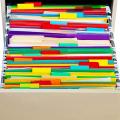 120 Sets Multicolor Hanging File Folder Tabs with Blank Inserts