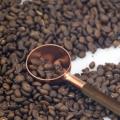 Coffee Bean Measuring Spoon Solid Wood Copper Measuring Spoon