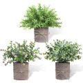 Decorative Small Plants Artificial Eucalyptus, Set Of 3 for Bedroom