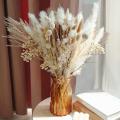 Dried Flowers Reed Grass,17 Inch Pampas Grass Branches for Home Decor