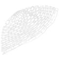 47 Inch Clear Rubber Net for Fly Fishing Landing Net Fishing Tackles