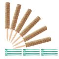 6pcs 16inch Plant Poles for Indoor Plants to Grow, with 12pcs Ties