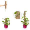 4 Pcs 15.7 Inch Coir Moss Totem Pole for Creepers Plant Support