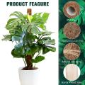 4pcs 16inches Moss Pole Plant Support for Monstera, for Potted Plants