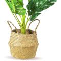 Plant Basket with Liner, Woven Seagrass Belly Baskets