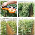 Tapes Vegetable Stem Strapping Pruning Tool A