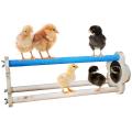 Chicken Perch for Chicks Chicken with Mirrors Trainning Perch Toy