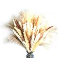 70pcs Natural Dried Pampas Grass Bouquets for Home Wedding Boho Decor