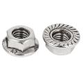 8mm Height M8 Thread Stainless Steel Serrated Hex Flange Nuts 10 Pcs