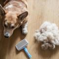 Dog Brush, Cleaning - Removes Loose Undercoat,pet Grooming Brush
