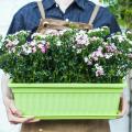 4 Packs 17 Inches Flower Window Box Plastic Vegetable Planters