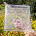 Big Size Plastic Clear Heart Square Watermelon Fruit Growth Mould