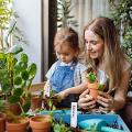 Plastic Garden Plant Labels Waterproof Houseplants Tags