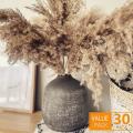 17.72inch Dried Pampas Floral Decor Fluffy Pampas Grass 30 Stems