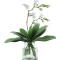5 Pcs Artificial Green Orchid Leaf for Flowers Garden Decor