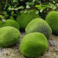 Faux Green Moss Covered Stones,for Floral Arrangements,fairy Gardens