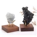 2 Pcs Display Stand Walnut Base for Fossil Coral Geodes Mineral