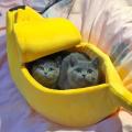 Banana Cat Bed, Pet Bed, Pet Bed for Cats, Rabbits&small Dogs Yellow