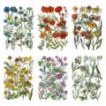 6 Packs Scrapbook Flower Stickers Decoration Sticker Clear Pet