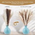 Natural Dried Pampas Grass, 60 Pcs Pampas Grass for Flower Home Decor