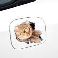 3d Cat Car Stickers Decal / Sticker for Window, Truck, Car