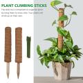 Moss Pole 40cm for Cheese Plant, Stackable Moss Stick and Ties