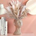 107 Pcs Natural Dried Pampas Grass Reed Grass Plants Branches Fluffy